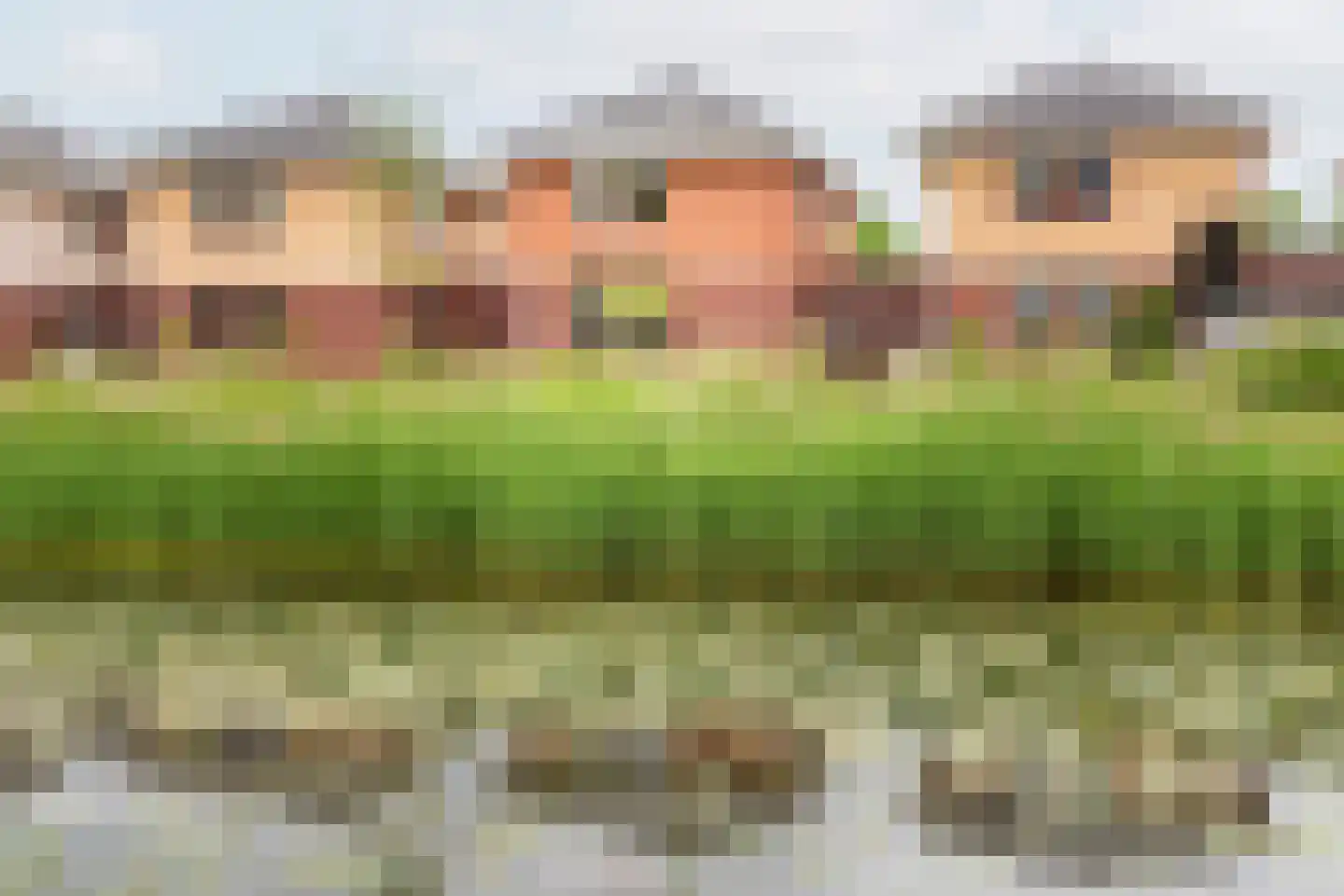 De Schouwgraaf 15 Ulft thumbnail 5