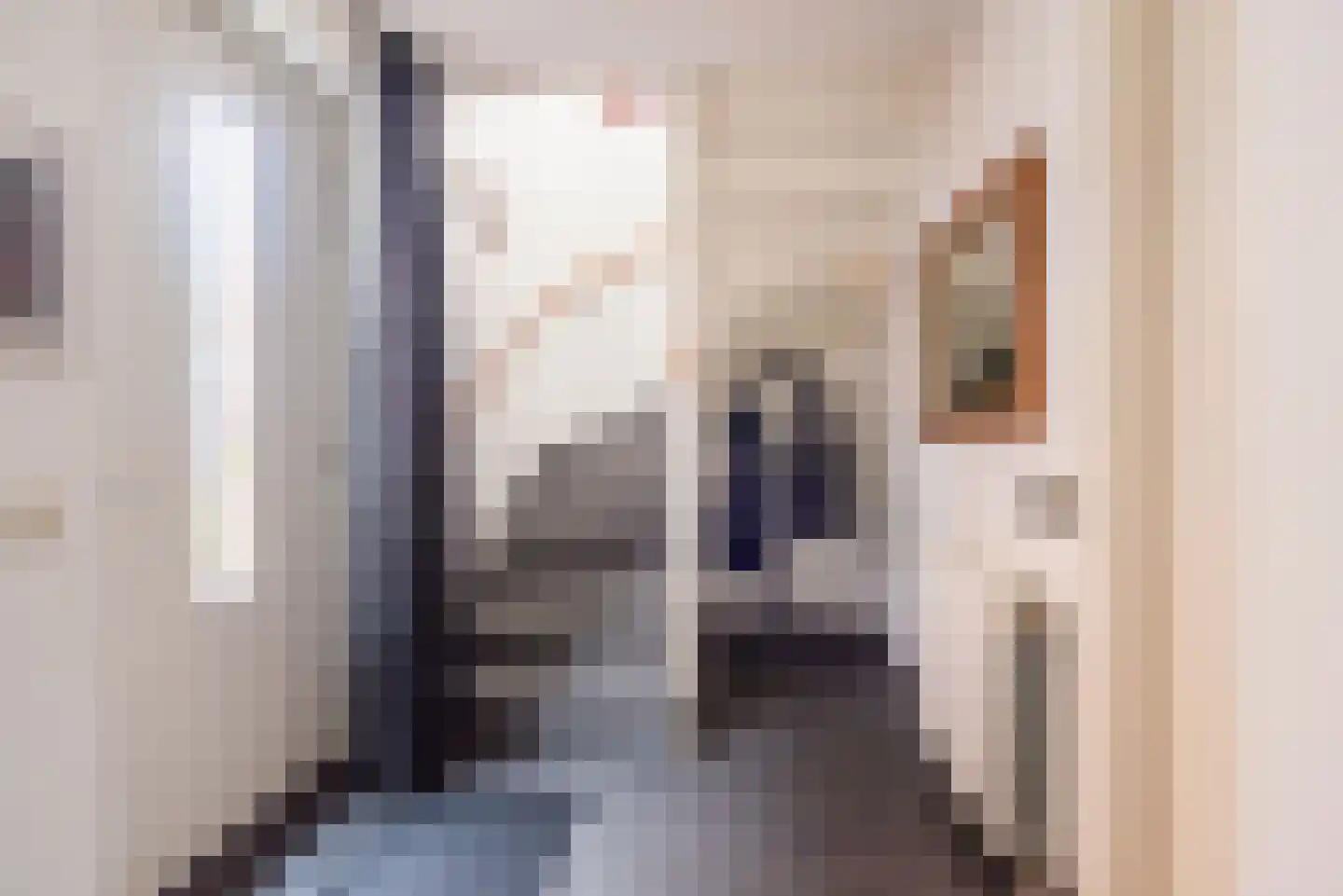 De Schouwgraaf 15 Ulft thumbnail 7