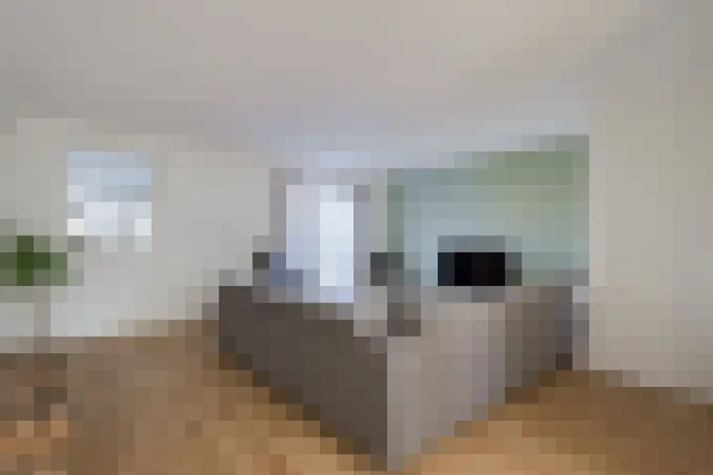 De Schouwgraaf 27 Ulft thumbnail 14