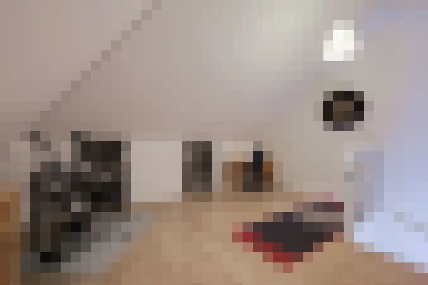 De Schouwgraaf 27 Ulft thumbnail 39
