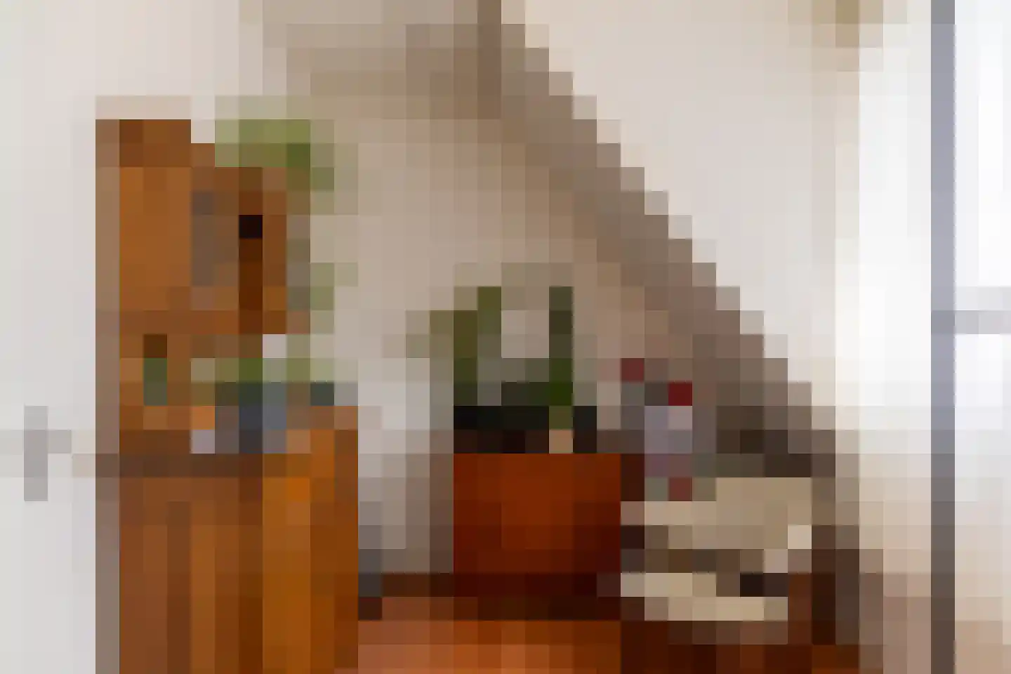 De Schouwgraaf 31 Ulft thumbnail 12