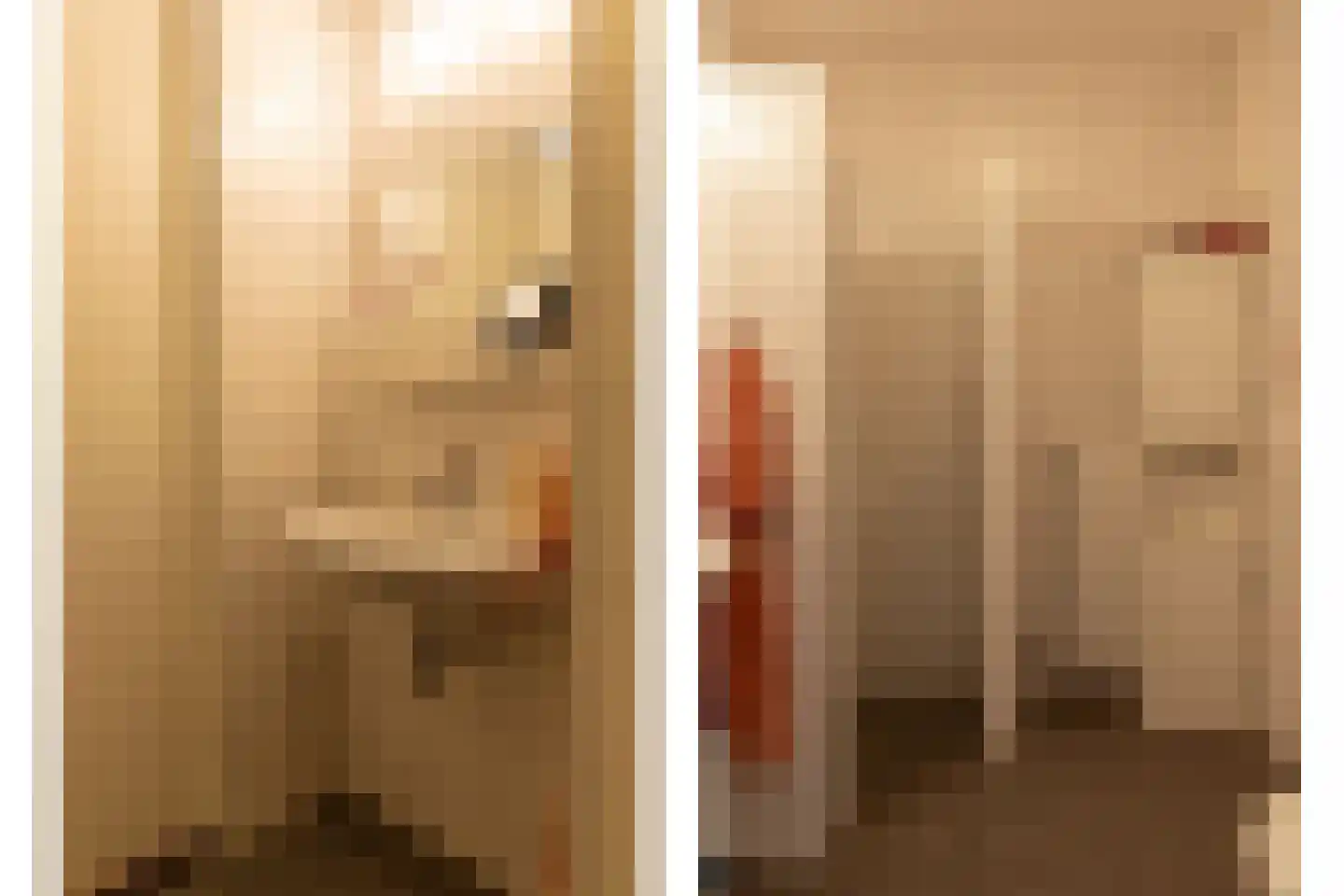 De Schouwgraaf 31 Ulft thumbnail 15