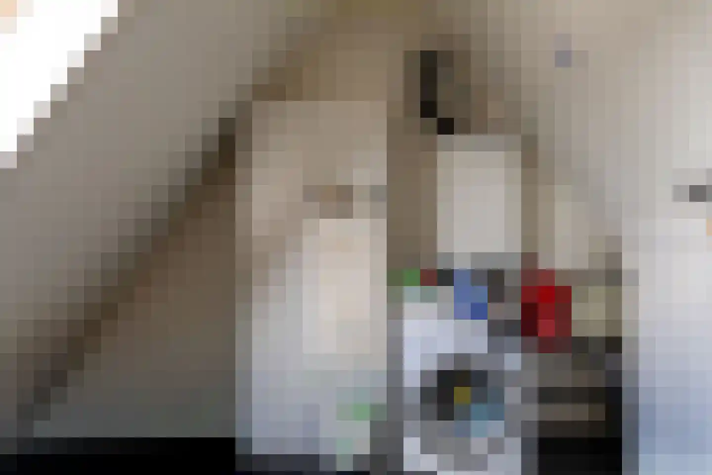 De Schouwgraaf 31 Ulft thumbnail 16