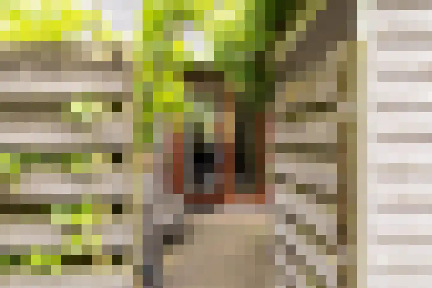 De Schouwgraaf 31 Ulft thumbnail 22