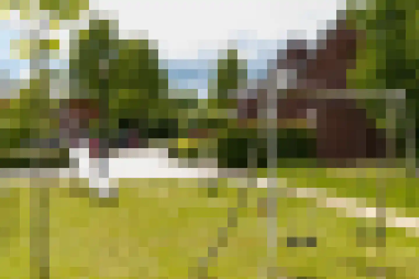 De Schouwgraaf 31 Ulft thumbnail 24