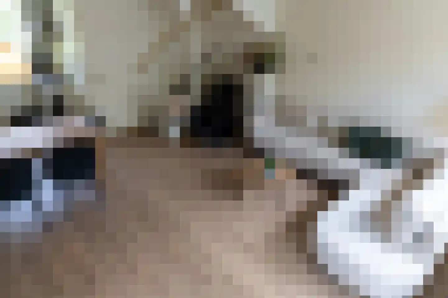De Schouwgraaf 31 Ulft thumbnail 6