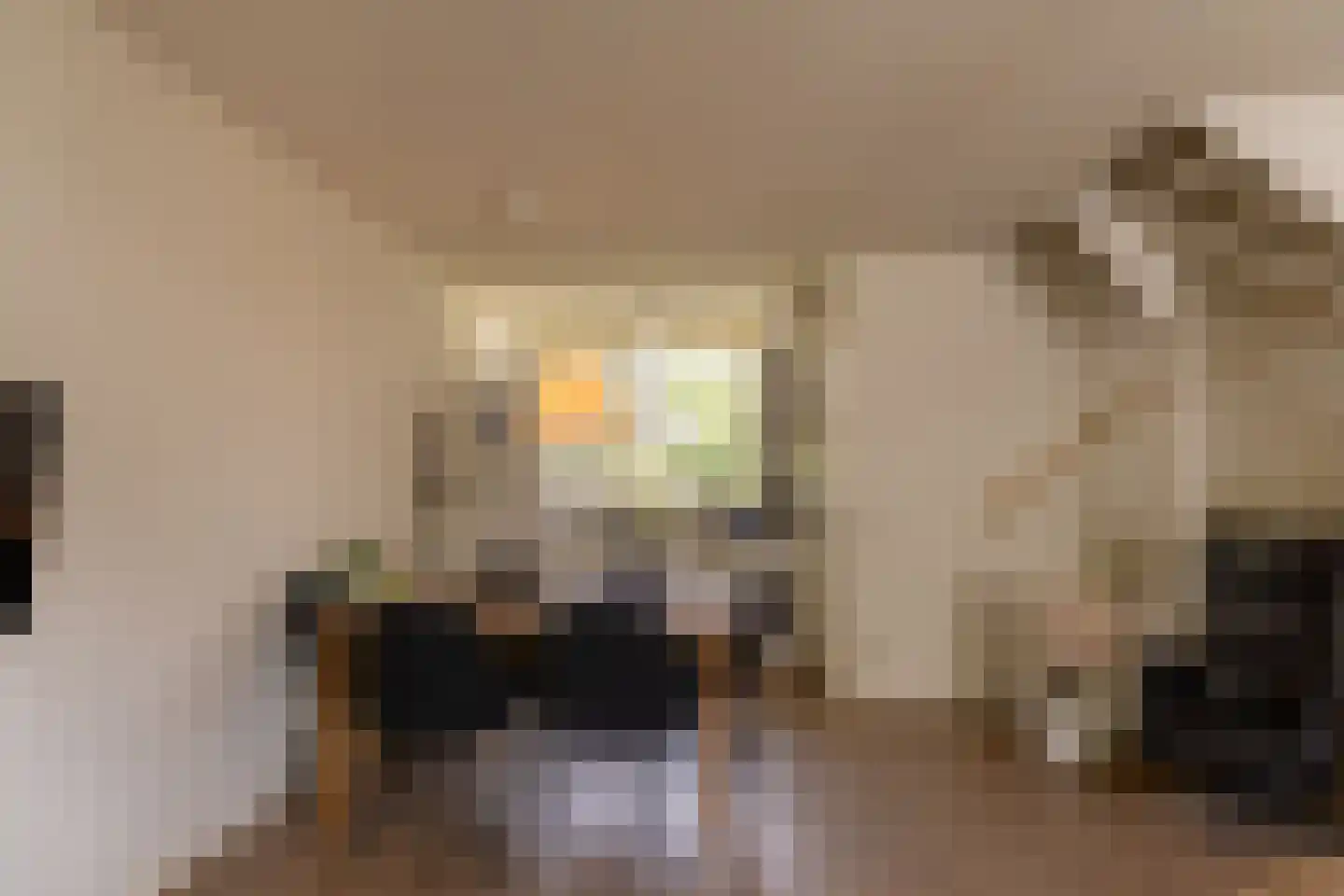 De Schouwgraaf 31 Ulft thumbnail 8