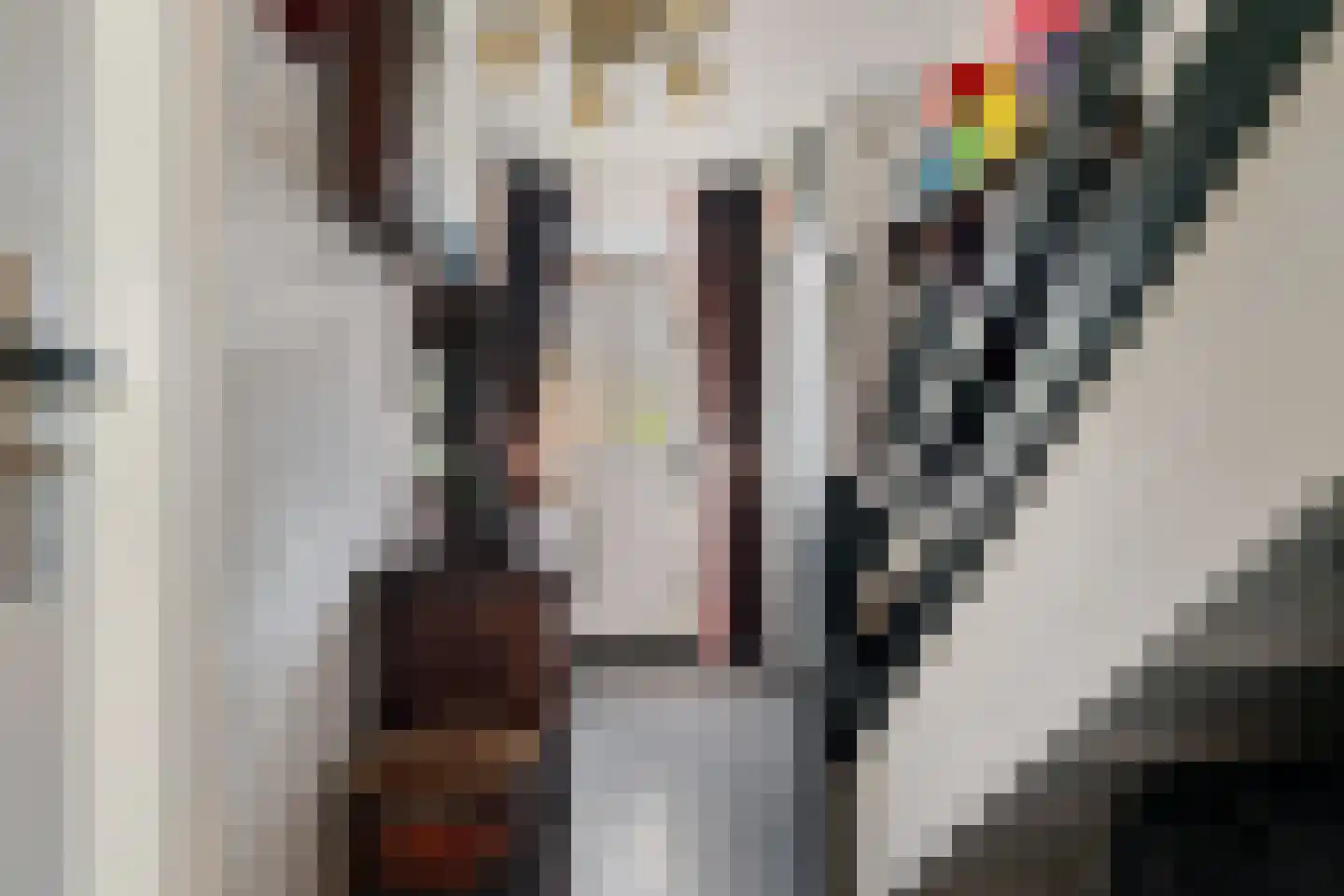 De Schraa 3 Hasselt thumbnail 18