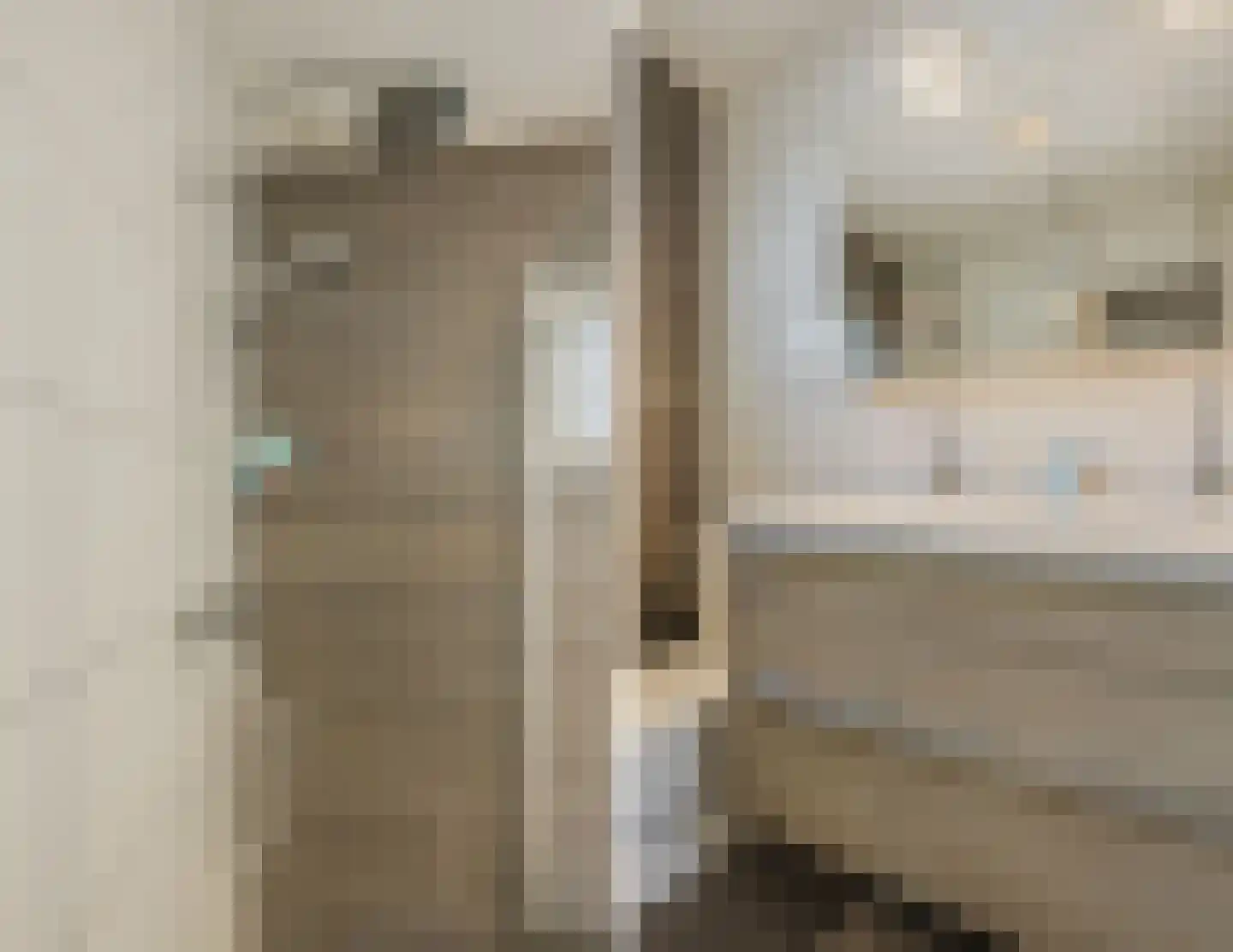 De Schuilplaats 35 Meppel thumbnail 24