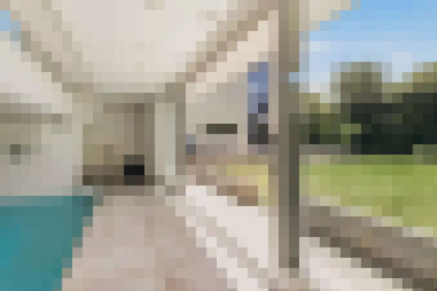 De Schulp 9 Amstelveen thumbnail 65