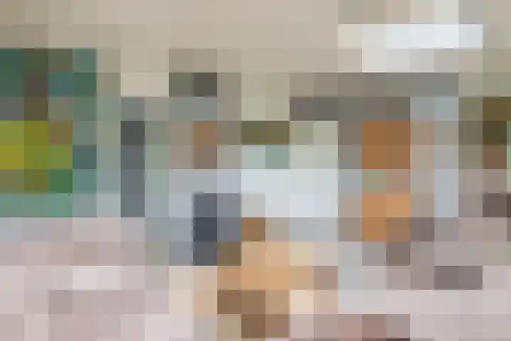 De Schure 15 Vledder thumbnail 10
