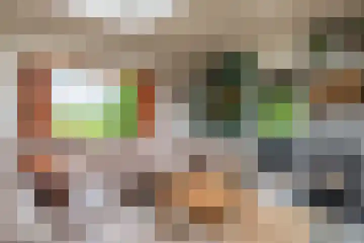 De Schure 15 Vledder thumbnail 11