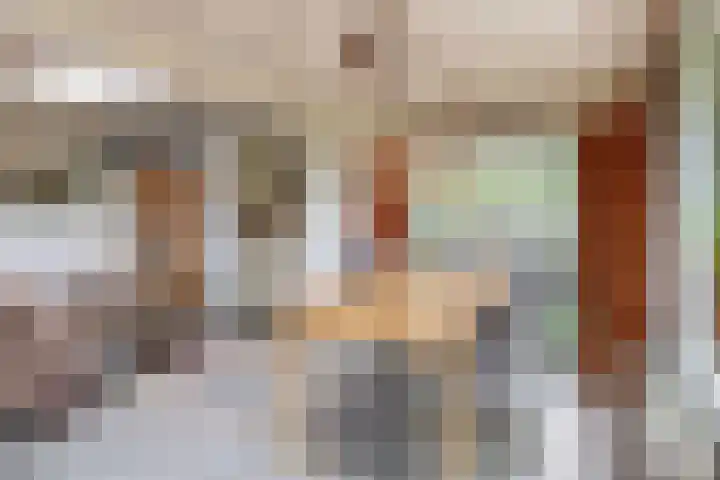 De Schure 15 Vledder thumbnail 14