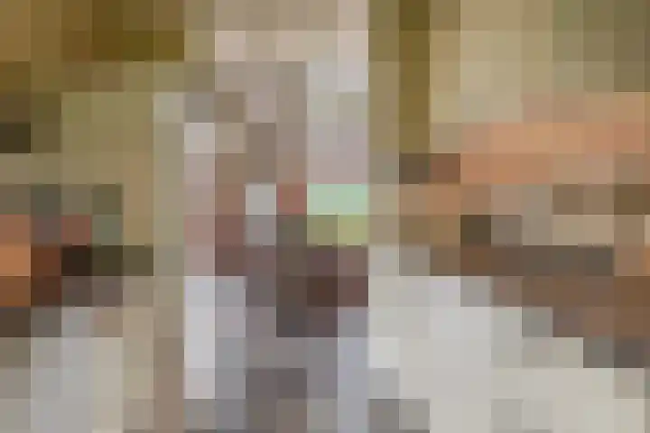 De Schure 15 Vledder thumbnail 18