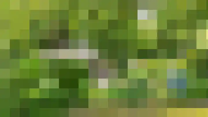 De Schure 15 Vledder foto 2