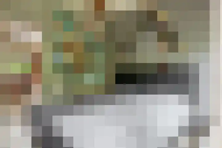 De Schure 15 Vledder thumbnail 21