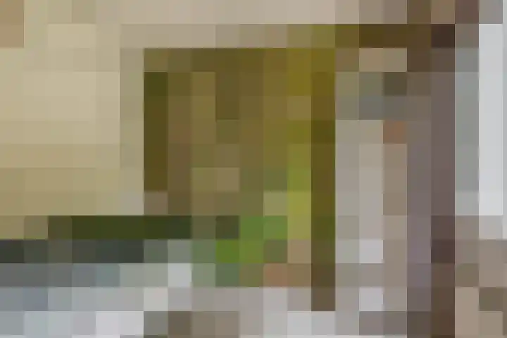 De Schure 15 Vledder thumbnail 23
