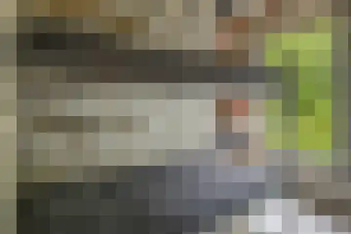 De Schure 15 Vledder thumbnail 25