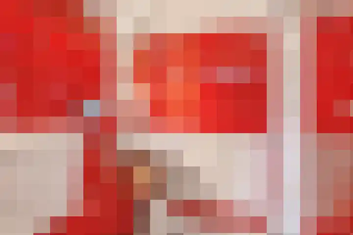 De Schure 15 Vledder thumbnail 26