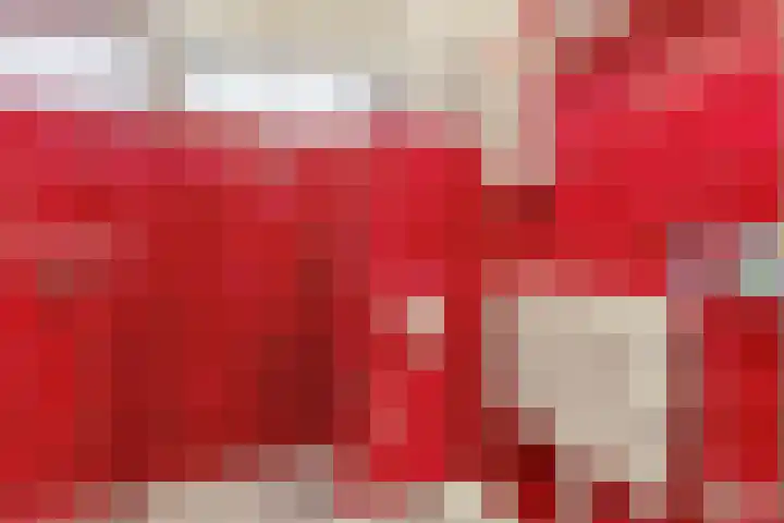 De Schure 15 Vledder thumbnail 28