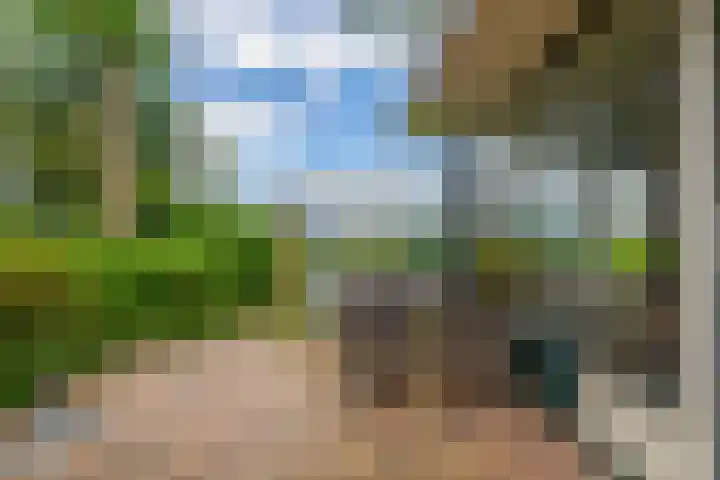 De Schure 15 Vledder thumbnail 29