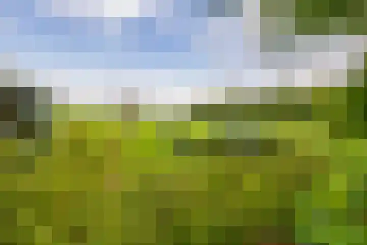 De Schure 15 Vledder thumbnail 31