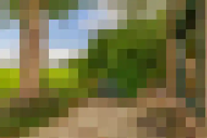 De Schure 15 Vledder thumbnail 34