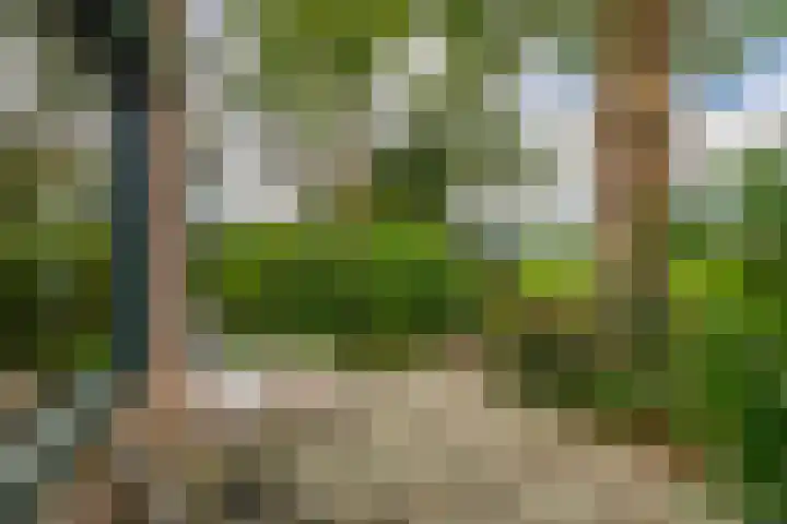 De Schure 15 Vledder thumbnail 35