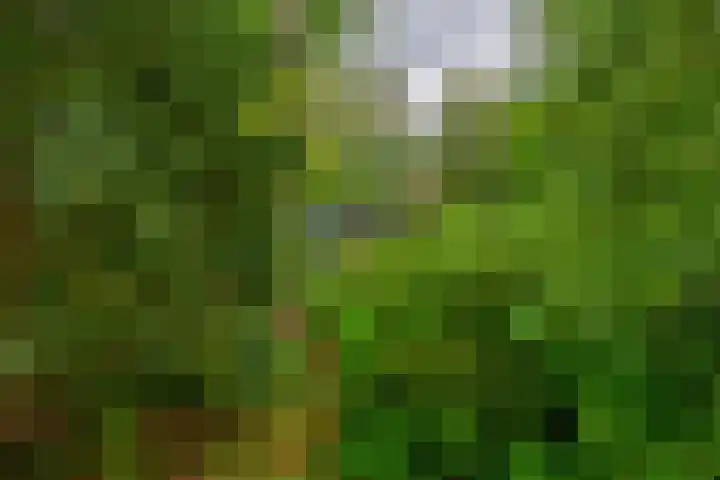 De Schure 15 Vledder thumbnail 38