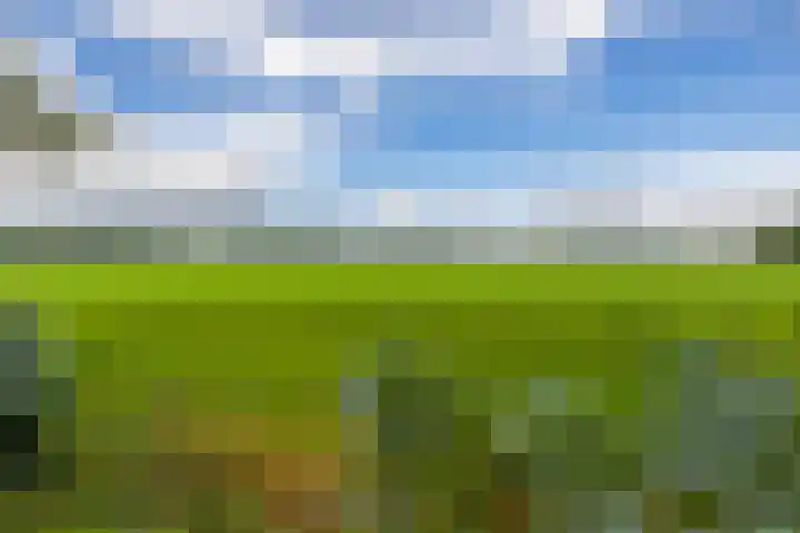 De Schure 15 Vledder thumbnail 4