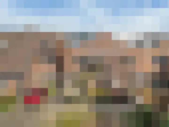 De Schure 15 Vledder thumbnail 41
