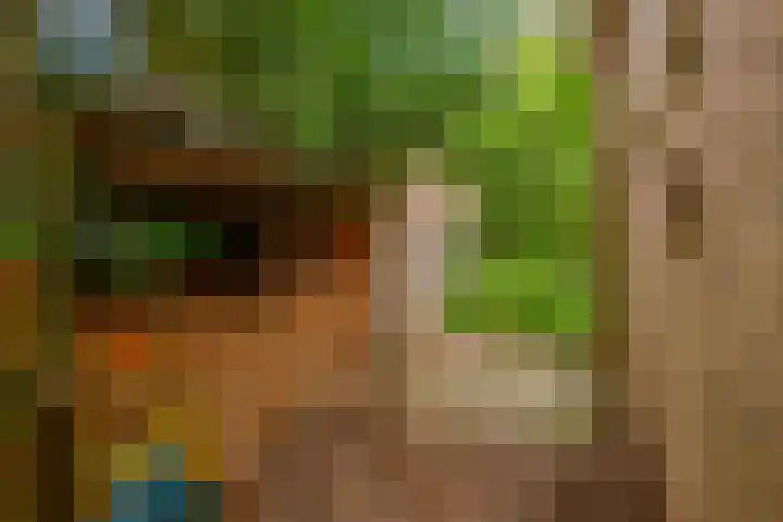 De Schure 15 Vledder thumbnail 43
