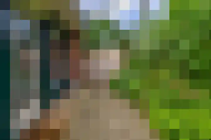 De Schure 15 Vledder thumbnail 45