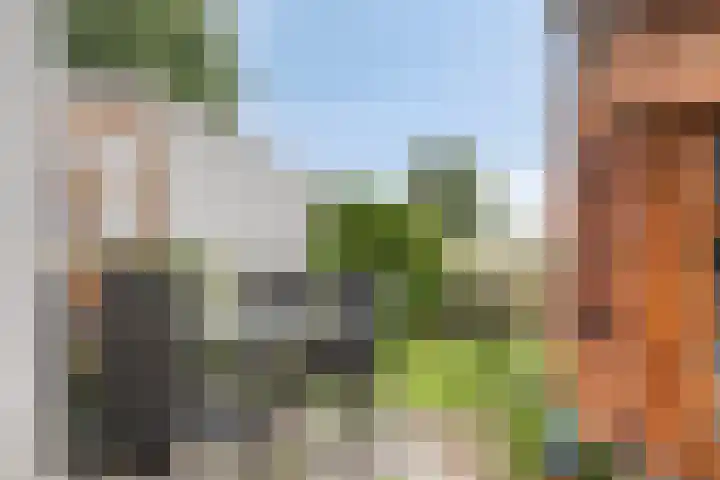 De Schure 15 Vledder thumbnail 46