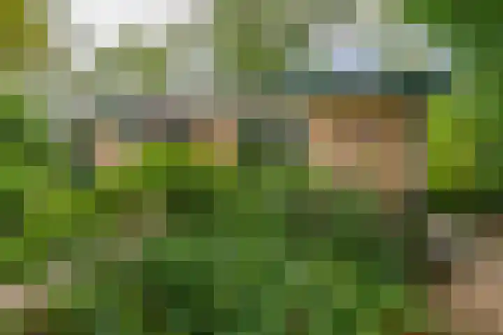 De Schure 15 Vledder thumbnail 46