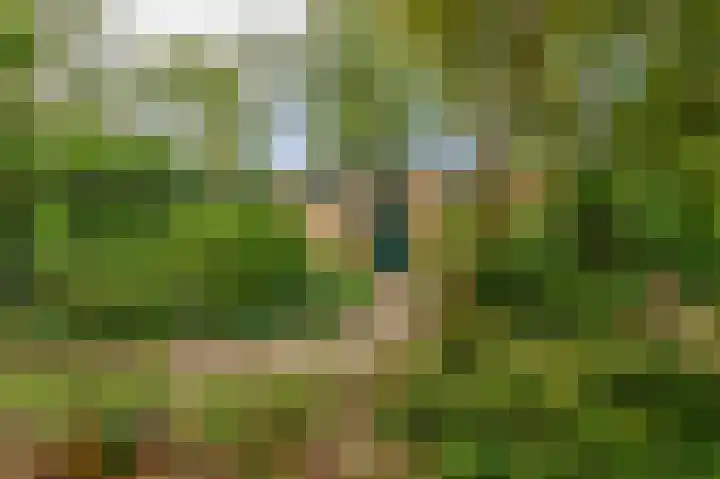 De Schure 15 Vledder thumbnail 48