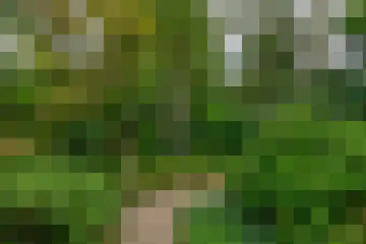 De Schure 15 Vledder thumbnail 50