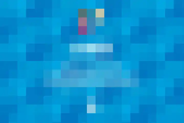 De Schure 15 Vledder thumbnail 51