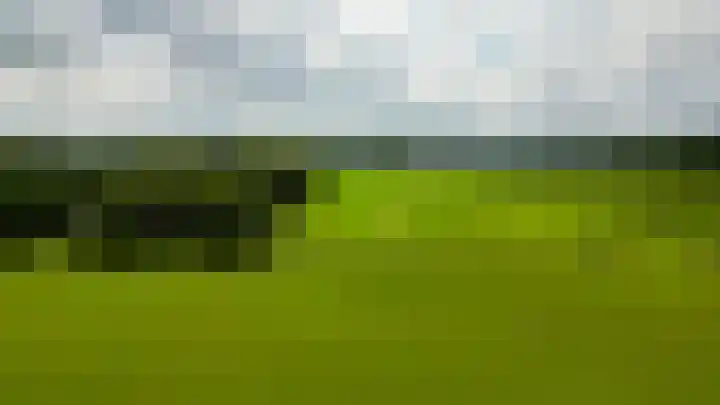 De Schure 15 Vledder thumbnail 53