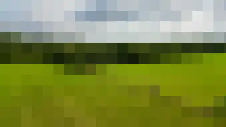 De Schure 15 Vledder thumbnail 54