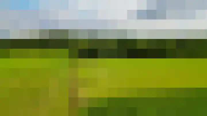 De Schure 15 Vledder thumbnail 55