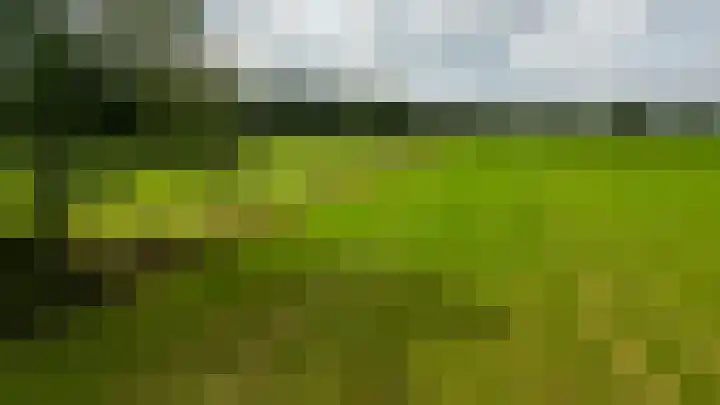 De Schure 15 Vledder thumbnail 57