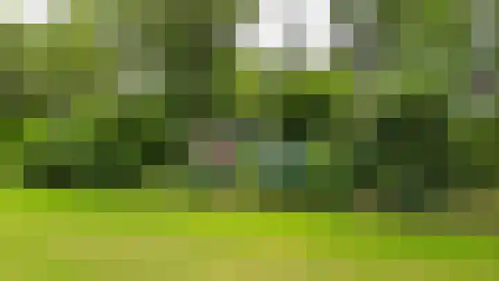 De Schure 15 Vledder thumbnail 59