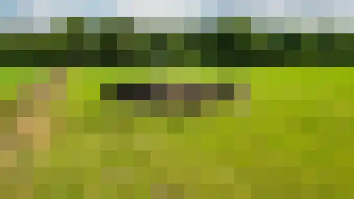 De Schure 15 Vledder thumbnail 60