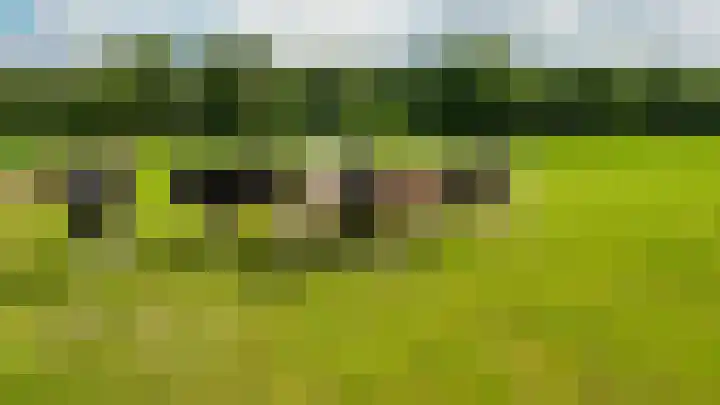 De Schure 15 Vledder thumbnail 61