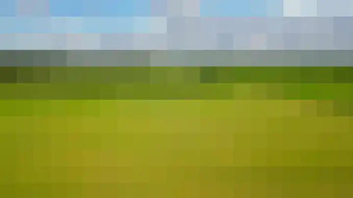 De Schure 15 Vledder thumbnail 65