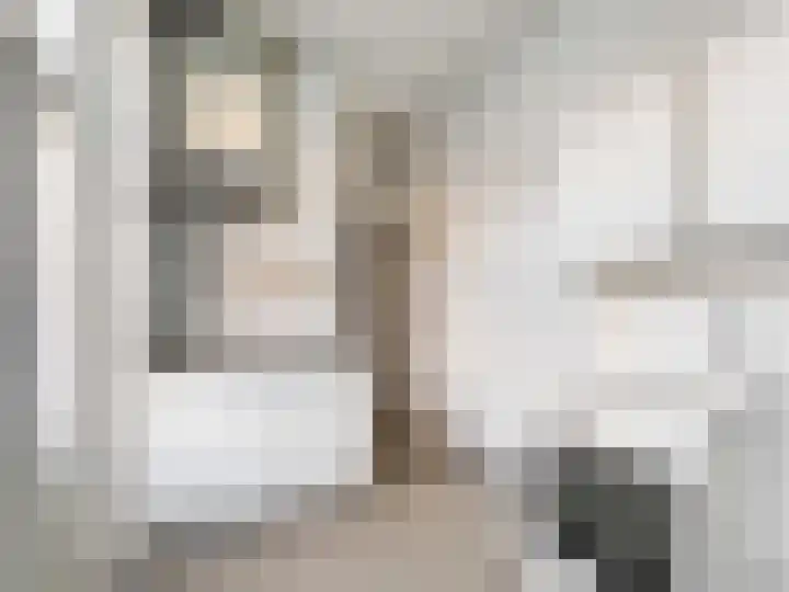 De Schure 15 Vledder thumbnail 67