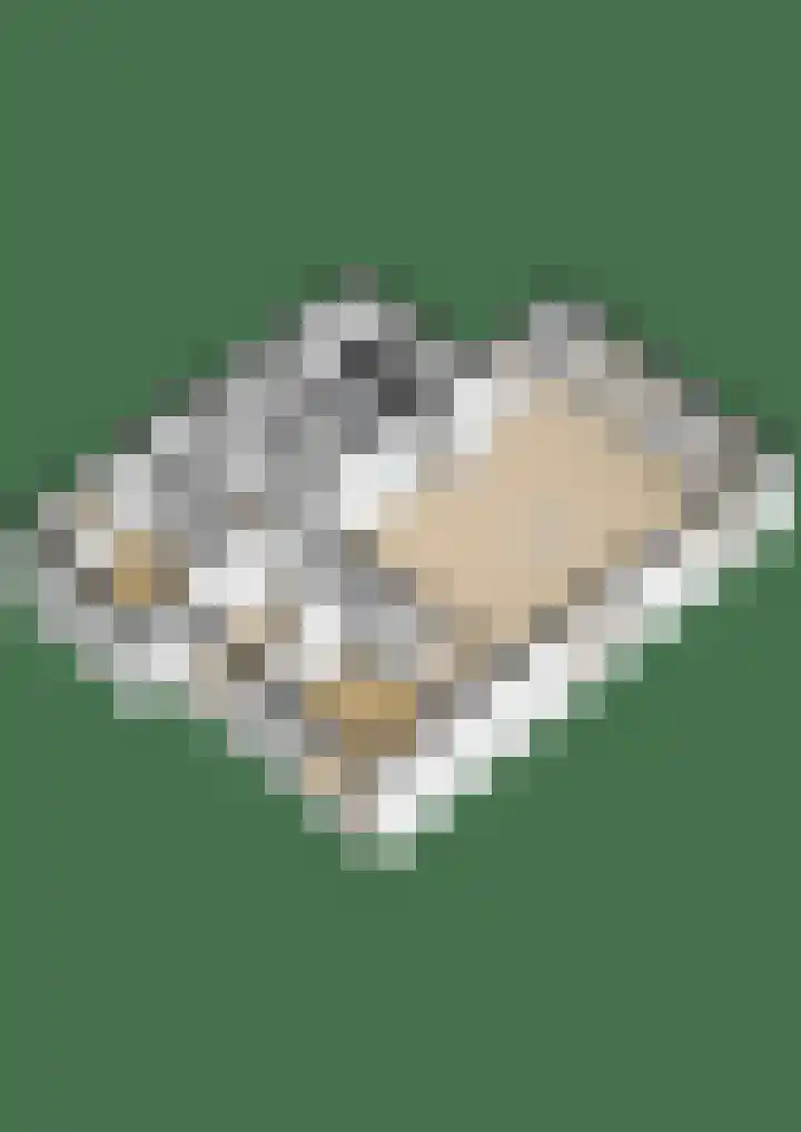 De Schure 15 Vledder thumbnail 68