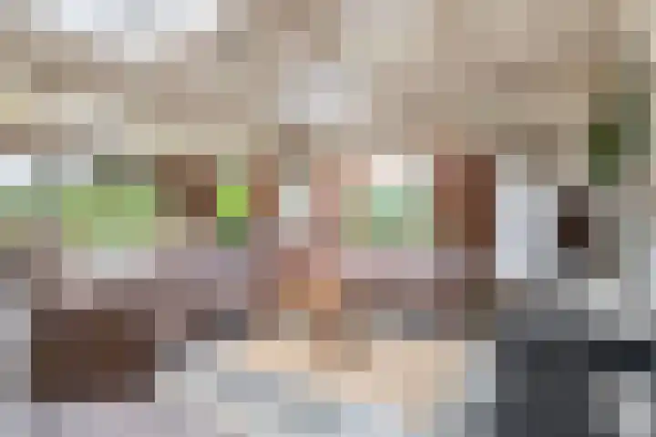 De Schure 15 Vledder thumbnail 7