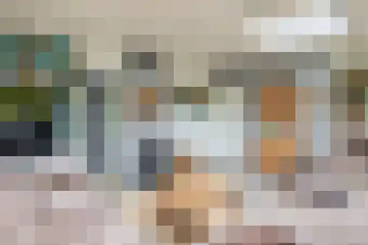 De Schure 15 Vledder thumbnail 9